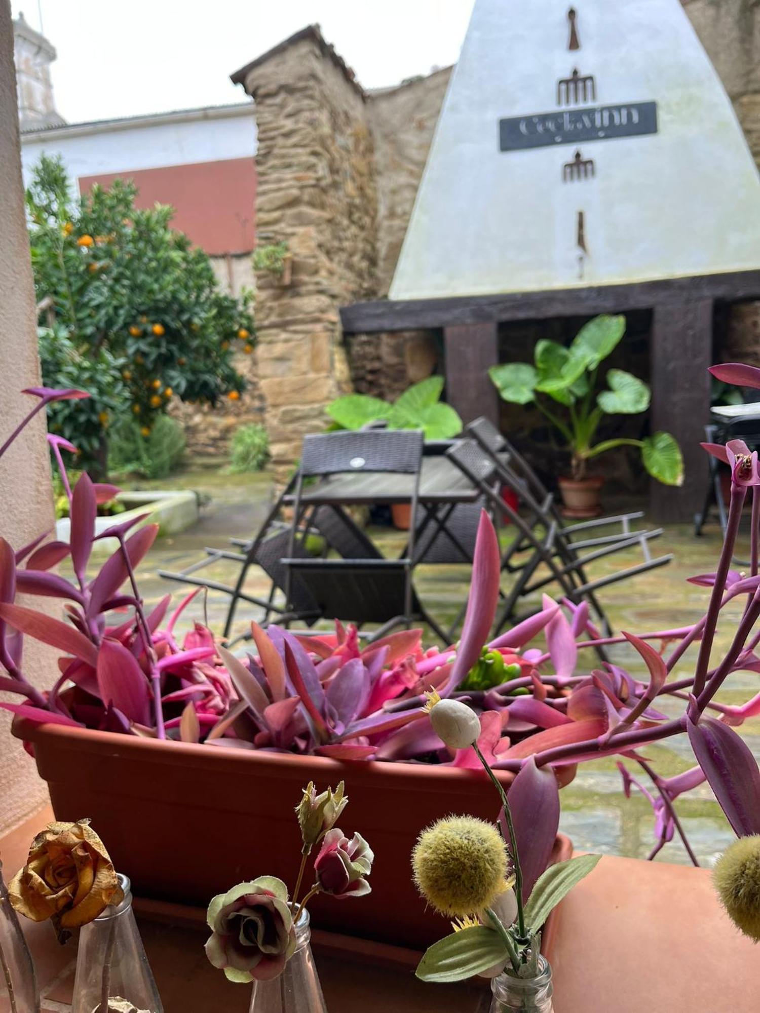Ceclavinn Casa Rural Zewnętrze zdjęcie